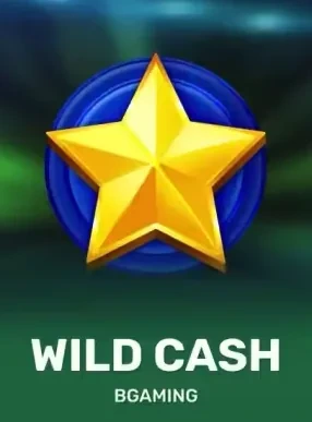 Playfina pokie